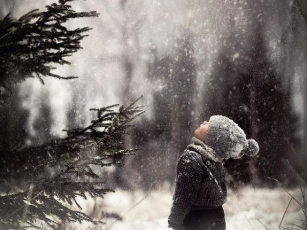 Little kid looking at Christmas tree